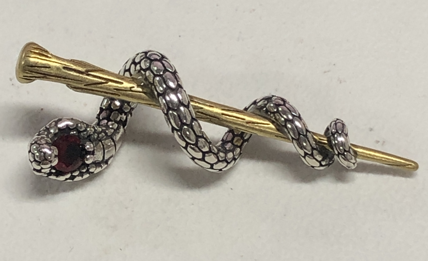 Awakening Serpent Pendant – Wand-Shaped Snake Necklace with Red Gem Eye | Gothic Talisman Jewelry