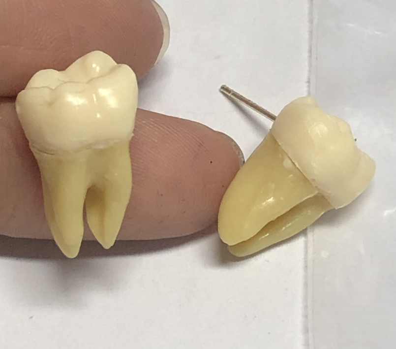 Handcrafted Tooth-Shaped Earrings | Medical Art Jewelry | Creative Unique Earrings