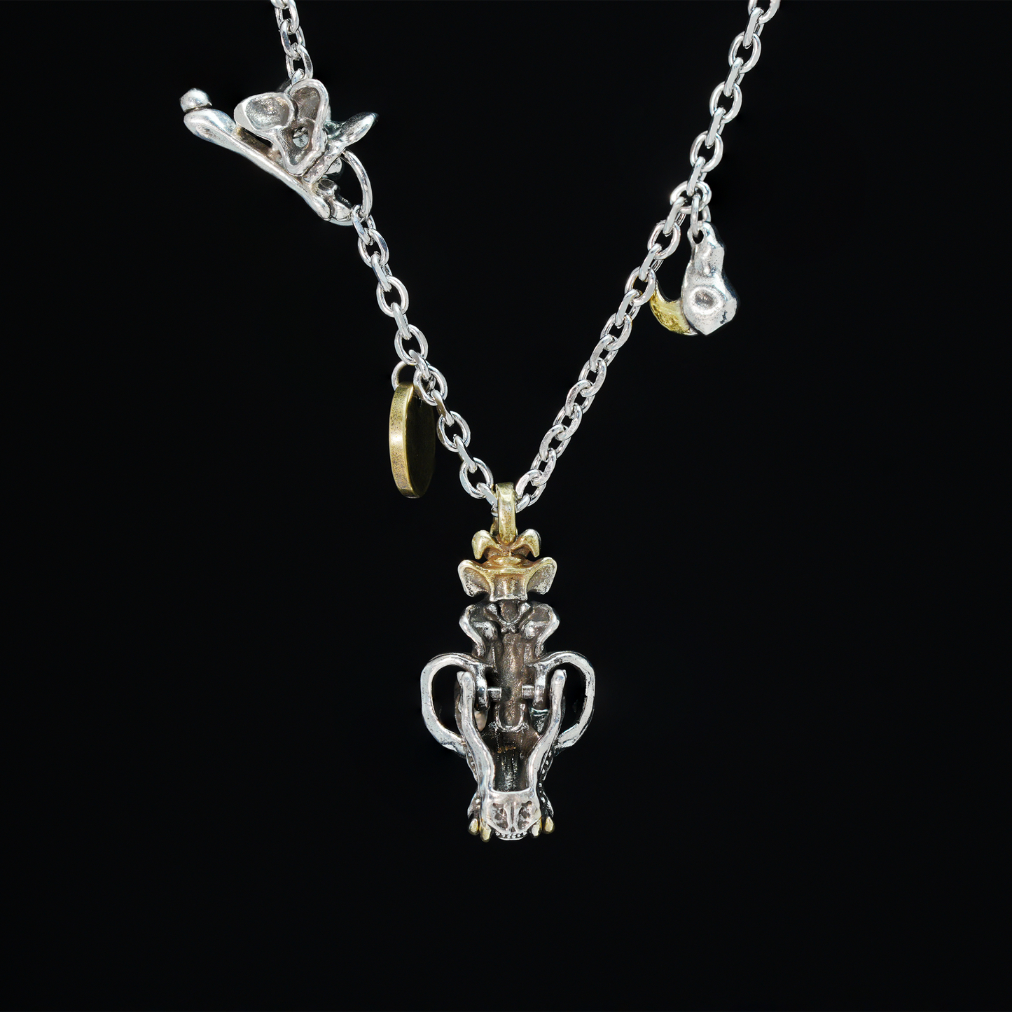 Mythic Beast Skull Pendant Necklace with Dragon Crest Medallion | Gothic Totem Jewelry for Fantasy Lovers