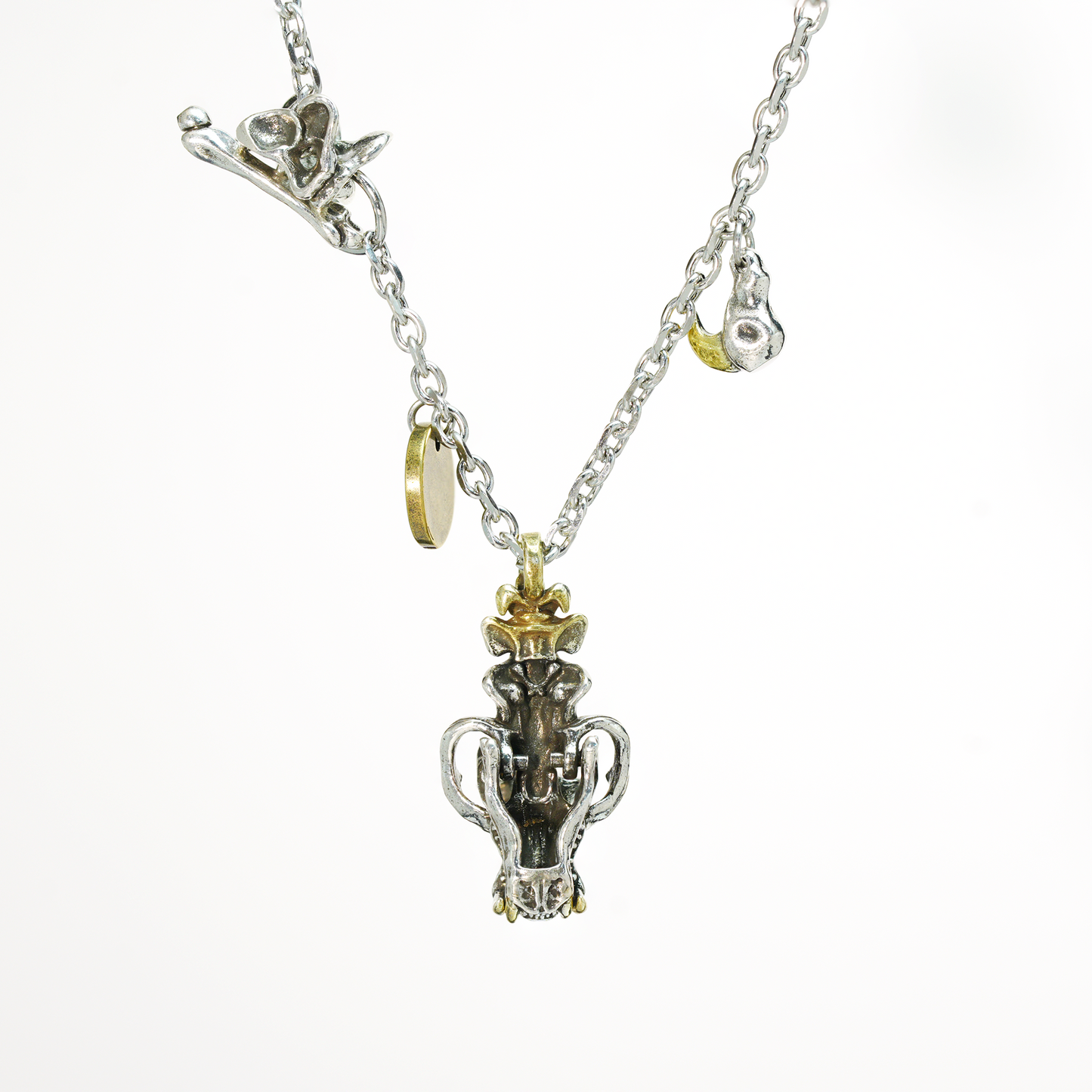 Mythic Beast Skull Pendant Necklace with Dragon Crest Medallion | Gothic Totem Jewelry for Fantasy Lovers
