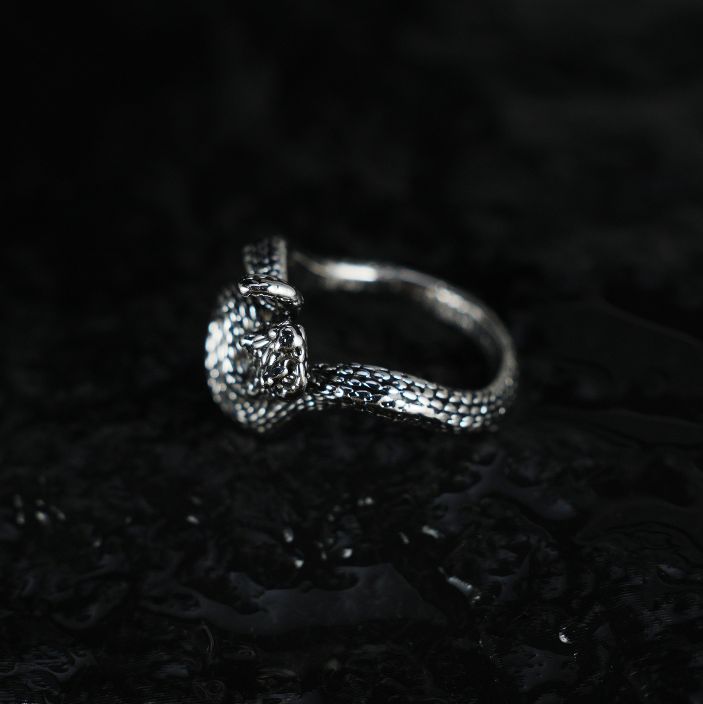 Snake Ring Gothic Serpent Jewelry | Protective Amulet Rebirth Symbol Ring | Unisex Snake Wrap Ring for Her or Him