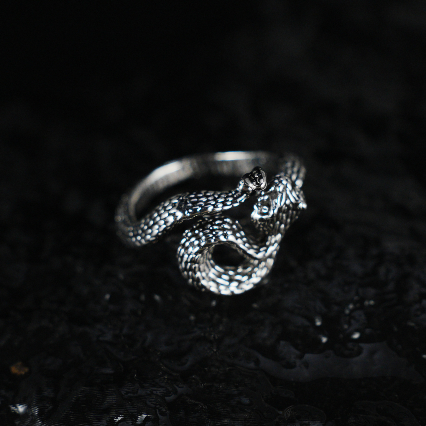 Snake Ring Gothic Serpent Jewelry | Protective Amulet Rebirth Symbol Ring | Unisex Snake Wrap Ring for Her or Him
