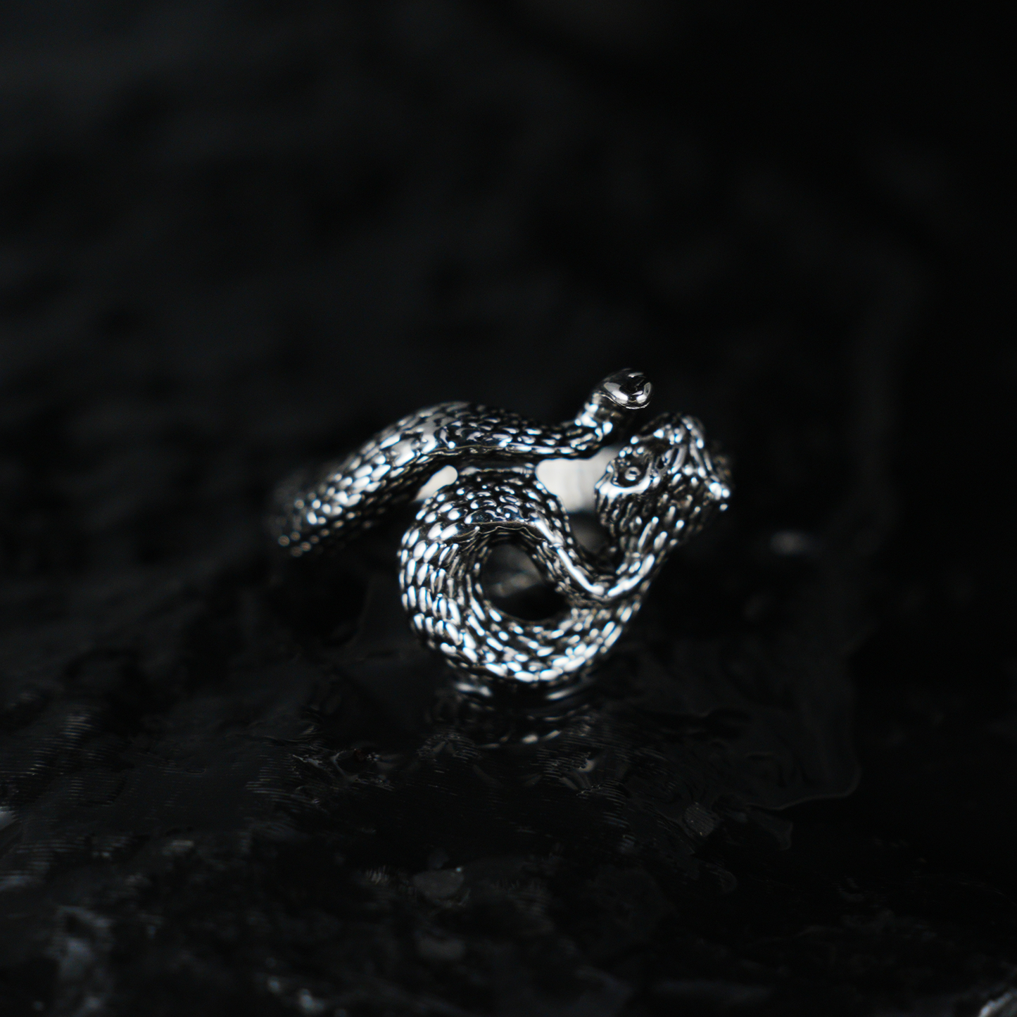 Snake Ring Gothic Serpent Jewelry | Protective Amulet Rebirth Symbol Ring | Unisex Snake Wrap Ring for Her or Him