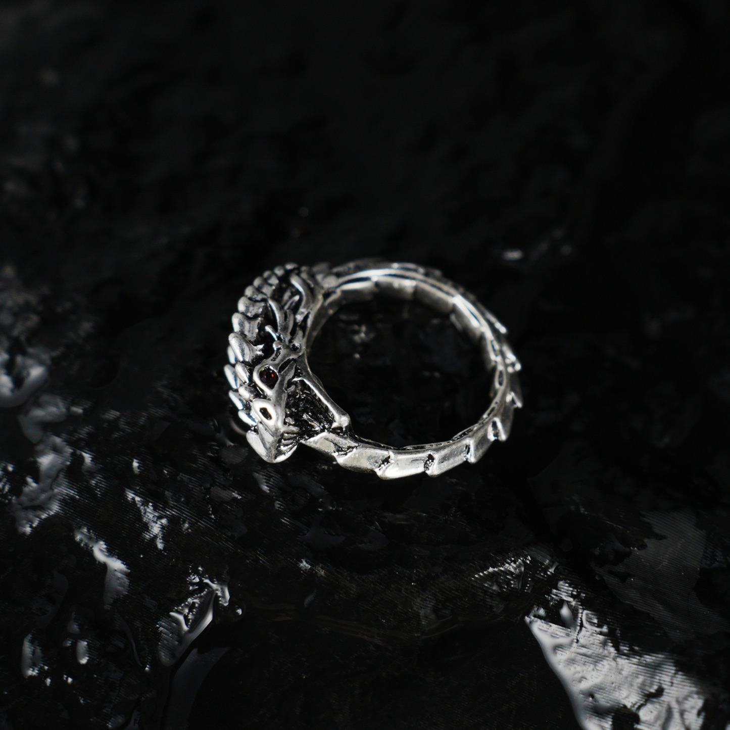 Dragon Ouroboros Ring, Snake Totem Ring, Gothic Ouroboros Band for Protection and Eternity