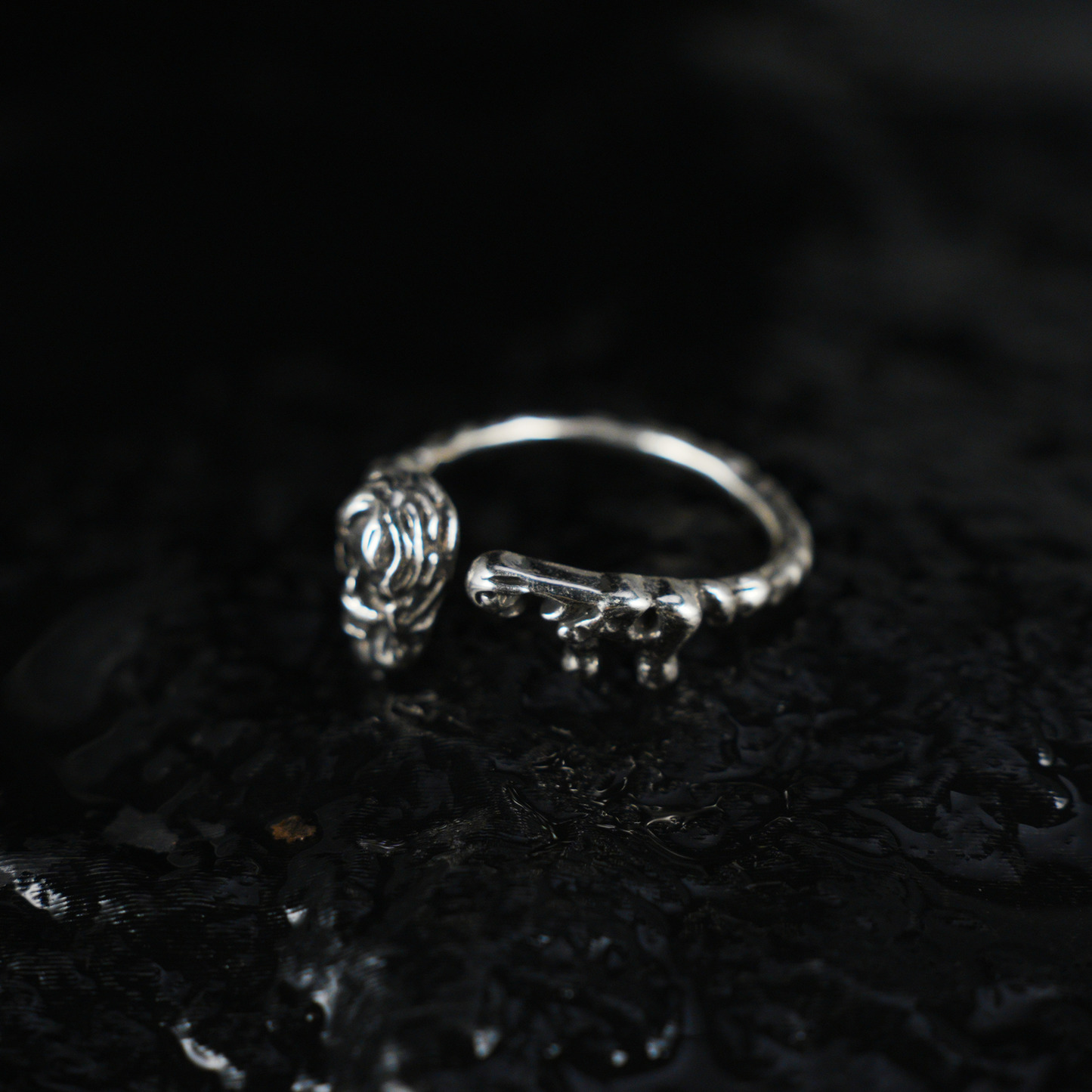 Mystic Elder Totem Ring with Artisan Carving, Unique Gothic Open Design Ring for Men and Women