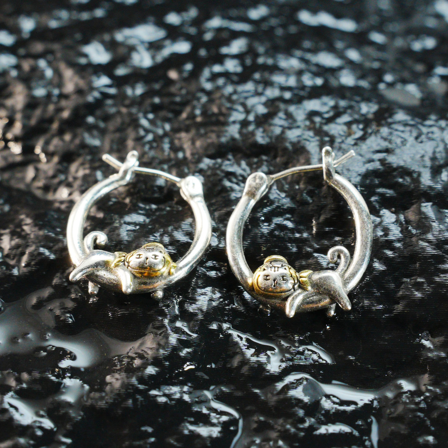 Curious Cat with Fish Hat Earrings – Playful Kitty Studs for Animal Lovers, Cute Cat Jewelry for Daily Joy