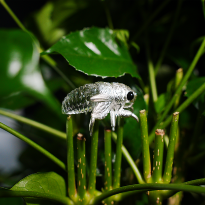 Halskette mit Zikadenanhänger – Vintage-Insektenschmuck in Kristalloptik, Symbol der Wiedergeburt und Klarheit, von der Natur inspiriertes Totemgeschenk