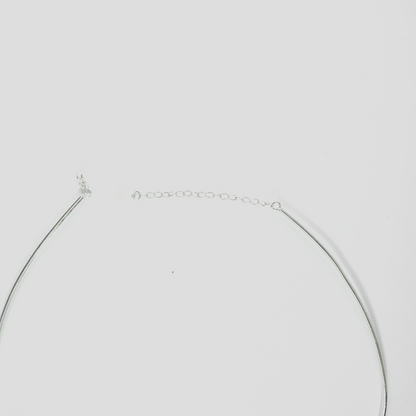 Minimalist Ocean-Inspired Double Shell Necklace · Metal Wire Collar Design · Symbolic Statement Jewelry