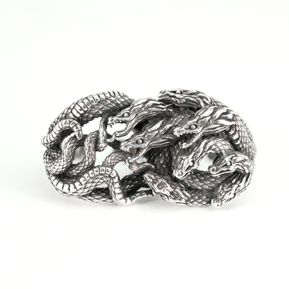 Mythic Hydra Dragon Ring, Gothic Statement Ring for Men, Heavyweight Carved Ring, Multi-Dragon Totem Jewelry
