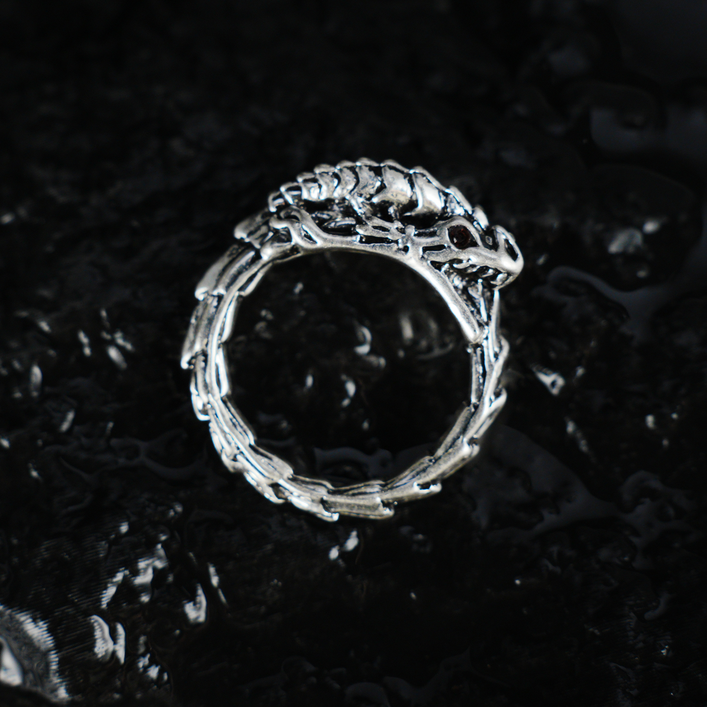 Dragon Ouroboros Ring, Snake Totem Ring, Gothic Ouroboros Band for Protection and Eternity