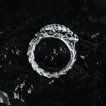 Dragon Ouroboros Ring, Snake Totem Ring, Gothic Ouroboros Band for Protection and Eternity