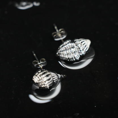 Muschel Ohrstecker, Asymmetrischer Maritimer Schmuck, Minimalistische Ozean-inspirierte Ohrstecker, handgemachtes Geschenk für Sie