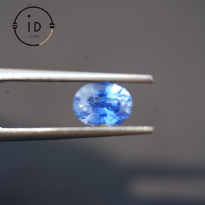 Natürlicher Kornblumenblauer Saphir - 1.44ct - Ovalschliff - Unbehandelt aus Sri Lanka - Seltene Farbe mit Leuchtkraft