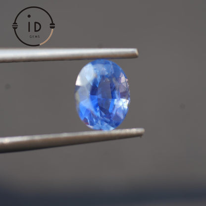 Natürlicher Kornblumenblauer Saphir - 1.44ct - Ovalschliff - Unbehandelt aus Sri Lanka - Seltene Farbe mit Leuchtkraft