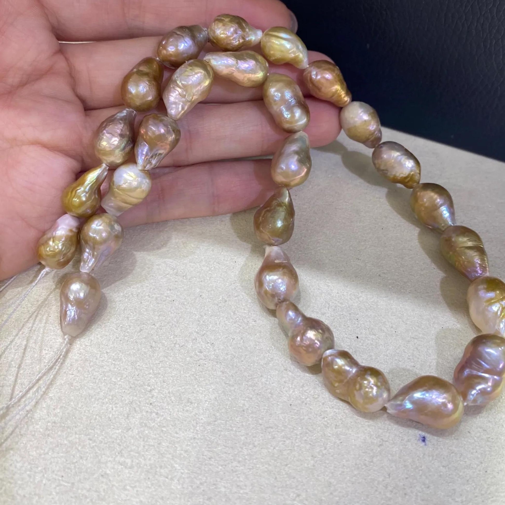 48e1bca5-cf70-4492-a967-621b834a4288