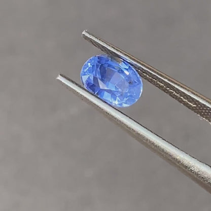 Natürlicher Kornblumenblauer Saphir - 1.44ct - Ovalschliff - Unbehandelt aus Sri Lanka - Seltene Farbe mit Leuchtkraft